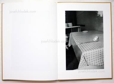 Sample page 17 for book  Misha Kominek &ndash; First Journey Home