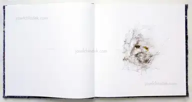 Sample page 13 for book "Pichler, Klaus – Klaus Pichler - Dust" Sample page 13 for book "Pichler, Klaus – Klaus Pichler - Dust"