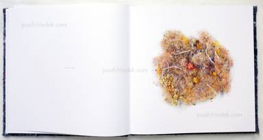 Sample page 3 for book  Klaus Pichler – Dust