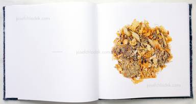 Sample page 5 for book  Klaus Pichler – Dust
