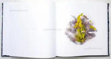 Sample page 9 for book "Pichler, Klaus – Klaus Pichler - Dust" Sample page 9 for book "Pichler, Klaus – Klaus Pichler - Dust"