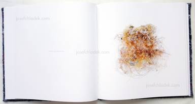 Sample page 9 for book  Klaus Pichler – Dust