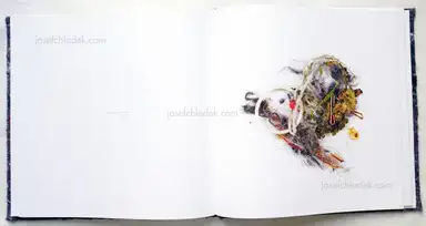 Sample page 4 for book "Pichler, Klaus – Klaus Pichler - Dust" Sample page 4 for book "Pichler, Klaus – Klaus Pichler - Dust"