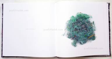 Sample page 2 for book "Pichler, Klaus – Klaus Pichler - Dust" Sample page 2 for book "Pichler, Klaus – Klaus Pichler - Dust"