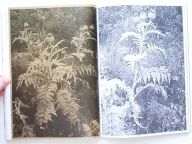 Sample page 4 for book "Keppel, Stephan – Stephan Keppel - Entre Entree" Sample page 4 for book "Keppel, Stephan – Stephan Keppel - Entre Entree"