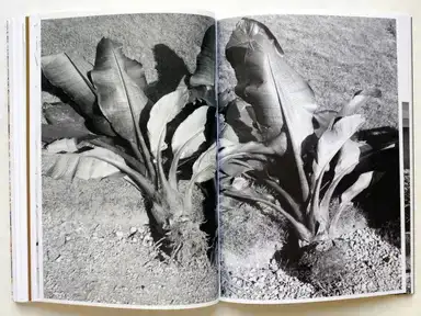 Sample page 3 for book "Keppel, Stephan – Stephan Keppel - Entre Entree" Sample page 3 for book "Keppel, Stephan – Stephan Keppel - Entre Entree"