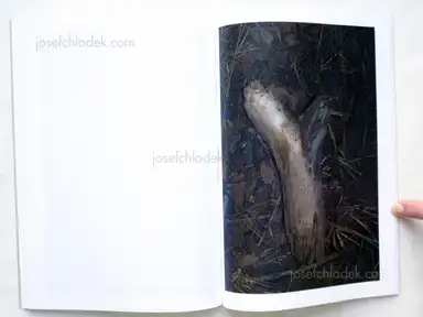 Sample page 6 for book "Takizawa, Hiroshi – Hiroshi Takizawa - étude I Input / Virgin" Sample page 6 for book "Takizawa, Hiroshi – Hiroshi Takizawa - étude I Input / Virgin"