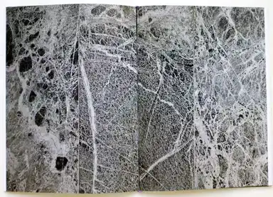 Sample page 7 for book "Takizawa, Hiroshi – Hiroshi Takizawa - étude III : _WALL" Sample page 7 for book "Takizawa, Hiroshi – Hiroshi Takizawa - étude III : _WALL"