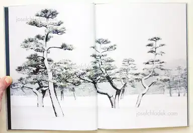 Sample page 10 for book "Liebchen, Jens – Jens Liebchen - System" Sample page 10 for book "Liebchen, Jens – Jens Liebchen - System"