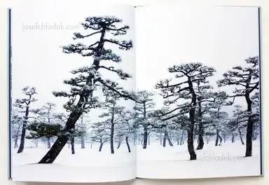 Sample page 6 for book "Liebchen, Jens – Jens Liebchen - System" Sample page 6 for book "Liebchen, Jens – Jens Liebchen - System"