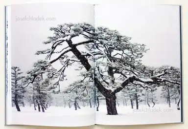 Sample page 5 for book "Liebchen, Jens – Jens Liebchen - System" Sample page 5 for book "Liebchen, Jens – Jens Liebchen - System"