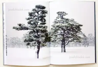 Sample page 4 for book "Liebchen, Jens – Jens Liebchen - System" Sample page 4 for book "Liebchen, Jens – Jens Liebchen - System"