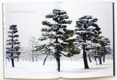 Sample page 3 for book "Liebchen, Jens – Jens Liebchen - System" Sample page 3 for book "Liebchen, Jens – Jens Liebchen - System"