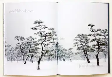 Sample page 2 for book "Liebchen, Jens – Jens Liebchen - System" Sample page 2 for book "Liebchen, Jens – Jens Liebchen - System"