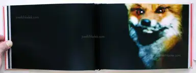 Sample page 10 for book "Natvig, Eivind H. – Eivind H. Natvig - Du Er Her No / You Are Here Now" Sample page 10 for book "Natvig, Eivind H. – Eivind H. Natvig - Du Er Her No / You Are Here Now"