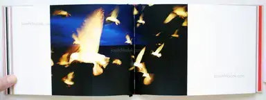 Sample page 7 for book "Natvig, Eivind H. – Eivind H. Natvig - Du Er Her No / You Are Here Now" Sample page 7 for book "Natvig, Eivind H. – Eivind H. Natvig - Du Er Her No / You Are Here Now"