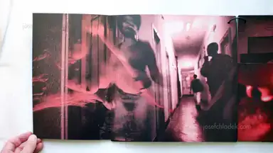 Sample page 12 for book "Francilins – Francilins - LIMBO" Sample page 12 for book "Francilins – Francilins - LIMBO"