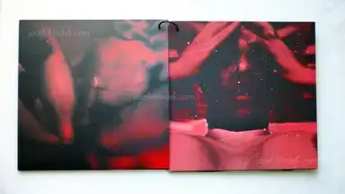 Sample page 10 for book "Francilins – Francilins - LIMBO" Sample page 10 for book "Francilins – Francilins - LIMBO"