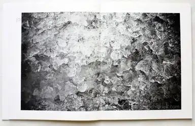 Sample page 8 for book "Chen, Xiaoyi – Xiaoyi Chen - Koan" Sample page 8 for book "Chen, Xiaoyi – Xiaoyi Chen - Koan"