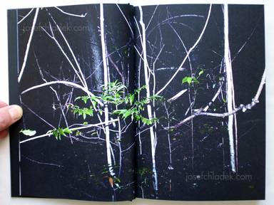 Sample page 20 for book "Costilhes, Cyril – Cyril Costilhes - Grand Circle Diego" Sample page 20 for book "Costilhes, Cyril – Cyril Costilhes - Grand Circle Diego"