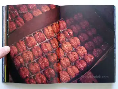 Sample page 17 for book "Rio Branco, Miguel – Miguel Rio Branco - Maldicidade" Sample page 17 for book "Rio Branco, Miguel – Miguel Rio Branco - Maldicidade"