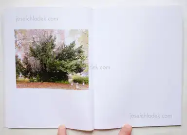 Sample page 8 for book "Margolles, Juan – Juan Margolles - Sometimes we have no shadow" Sample page 8 for book "Margolles, Juan – Juan Margolles - Sometimes we have no shadow"