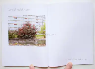 Sample page 6 for book "Margolles, Juan – Juan Margolles - Sometimes we have no shadow" Sample page 6 for book "Margolles, Juan – Juan Margolles - Sometimes we have no shadow"