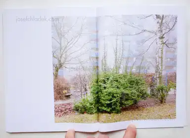 Sample page 3 for book "Margolles, Juan – Juan Margolles - Sometimes we have no shadow" Sample page 3 for book "Margolles, Juan – Juan Margolles - Sometimes we have no shadow"