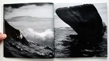 Sample page 13 for book "Diniz, José – José Diniz - Periscope" Sample page 13 for book "Diniz, José – José Diniz - Periscope"