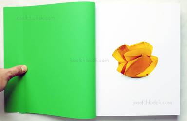 Sample page 2 for book  Christopher Williams – Printed in Germany