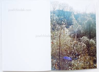 Sample page 14 for book  Dagmar Kolatschny – Sunny