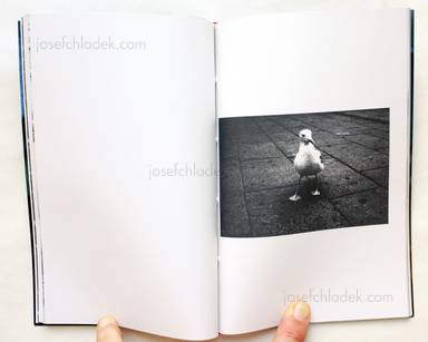 Sample page 6 for book "Parrillo, Tommaso – Tommaso Parrillo - Ungrateful Heart" Sample page 6 for book "Parrillo, Tommaso – Tommaso Parrillo - Ungrateful Heart"