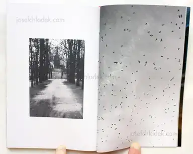 Sample page 2 for book "Parrillo, Tommaso – Tommaso Parrillo - Ungrateful Heart" Sample page 2 for book "Parrillo, Tommaso – Tommaso Parrillo - Ungrateful Heart"