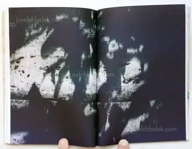 Sample page 3 for book "Pierri, Aminta – Aminta Pierri - L’unghia del Leone" Sample page 3 for book "Pierri, Aminta – Aminta Pierri - L’unghia del Leone"