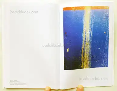 Sample page 3 for book "Zschiegner, Hermann – Hermann Zschiegner - Walls" Sample page 3 for book "Zschiegner, Hermann – Hermann Zschiegner - Walls"