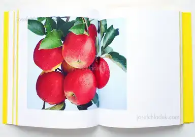 Sample page 6 for book "Williams, Christopher – Christopher Williams - Printed in Germany" Sample page 6 for book "Williams, Christopher – Christopher Williams - Printed in Germany"