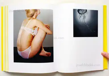 Sample page 3 for book "Williams, Christopher – Christopher Williams - Printed in Germany" Sample page 3 for book "Williams, Christopher – Christopher Williams - Printed in Germany"