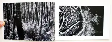 Sample page 13 for book "Roque, Fabio Miguel – Fábio Miguel Roque - Hometown" Sample page 13 for book "Roque, Fabio Miguel – Fábio Miguel Roque - Hometown"