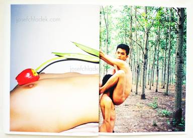 Sample page 15 for book  Ren Hang &ndash; 野生 (&lsquo;Wild&rsquo;)