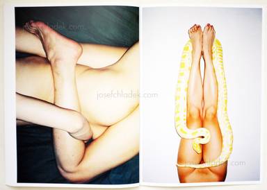 Sample page 1 for book "Hang, Ren – Ren Hang - 野生 (‘Wild’)" Sample page 1 for book "Hang, Ren – Ren Hang - 野生 (‘Wild’)"