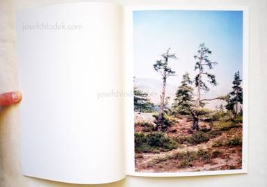 Sample page 1 for book  Vincent Delbrouck – Some Windy Trees