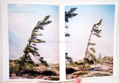 Sample page 4 for book  Vincent Delbrouck – Some Windy Trees