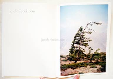 Sample page 5 for book  Vincent Delbrouck – Some Windy Trees