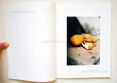 Sample page 12 for book "Delbrouck, Vincent – Vincent Delbrouck - As Dust Alights" Sample page 12 for book "Delbrouck, Vincent – Vincent Delbrouck - As Dust Alights"