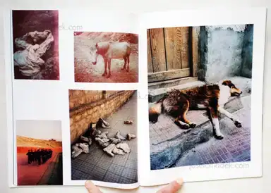 Sample page 6 for book "Delbrouck, Vincent – Vincent Delbrouck - As Dust Alights" Sample page 6 for book "Delbrouck, Vincent – Vincent Delbrouck - As Dust Alights"