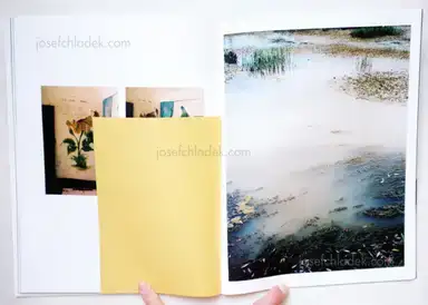 Sample page 5 for book "Delbrouck, Vincent – Vincent Delbrouck - As Dust Alights" Sample page 5 for book "Delbrouck, Vincent – Vincent Delbrouck - As Dust Alights"