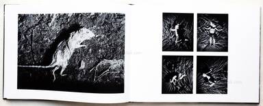 Sample page 11 for book  Trent Parke – The Black Rose