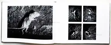 Sample page 17 for book "Parke, Trent – Trent Parke - The Black Rose" Sample page 17 for book "Parke, Trent – Trent Parke - The Black Rose"
