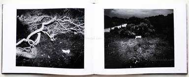 Sample page 13 for book  Trent Parke – The Black Rose