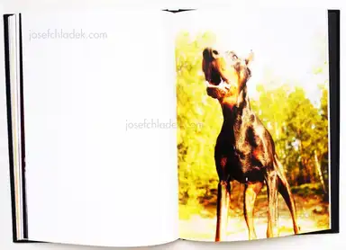 Sample page 6 for book "Laving, Rikard – Rikard Laving - Caravan" Sample page 6 for book "Laving, Rikard – Rikard Laving - Caravan"